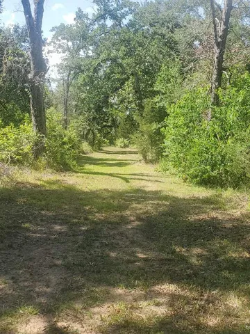 a view of an ocean from a yard