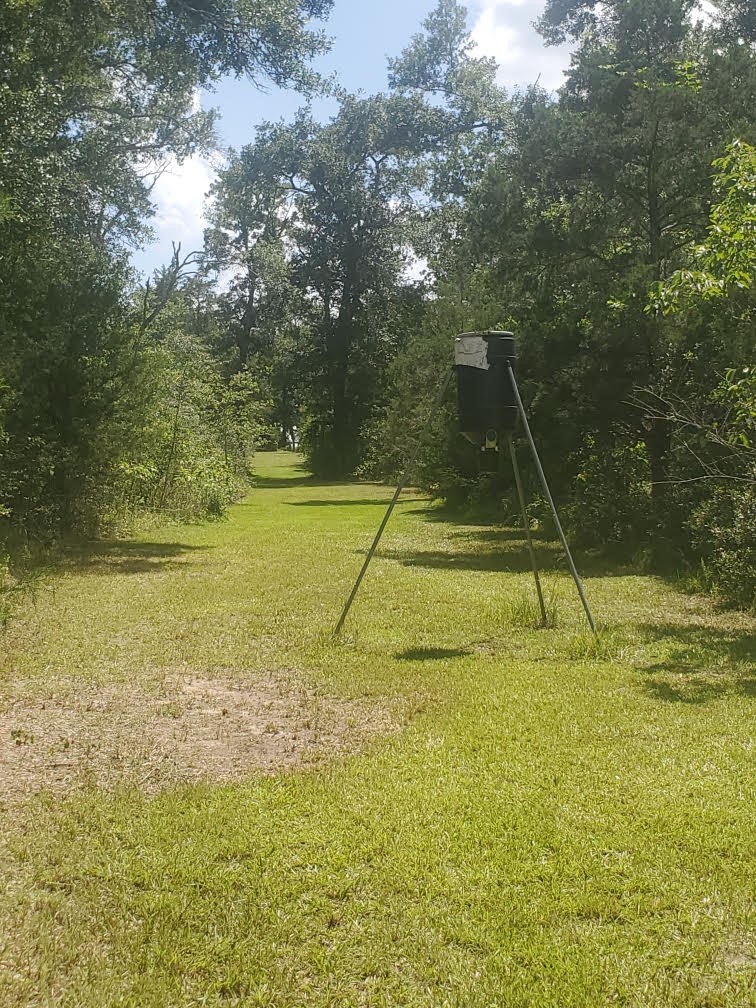 8595 Jared Road Bellville, TX 77418 - Photo 28 of 30 a view of a yard