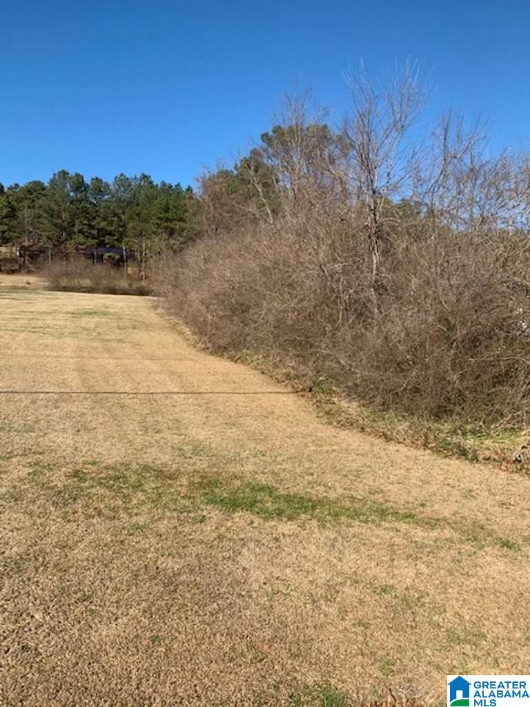 0 Highway 11 Springville Al, Unit 1 Springville, AL 35146 - Photo 4 of 5