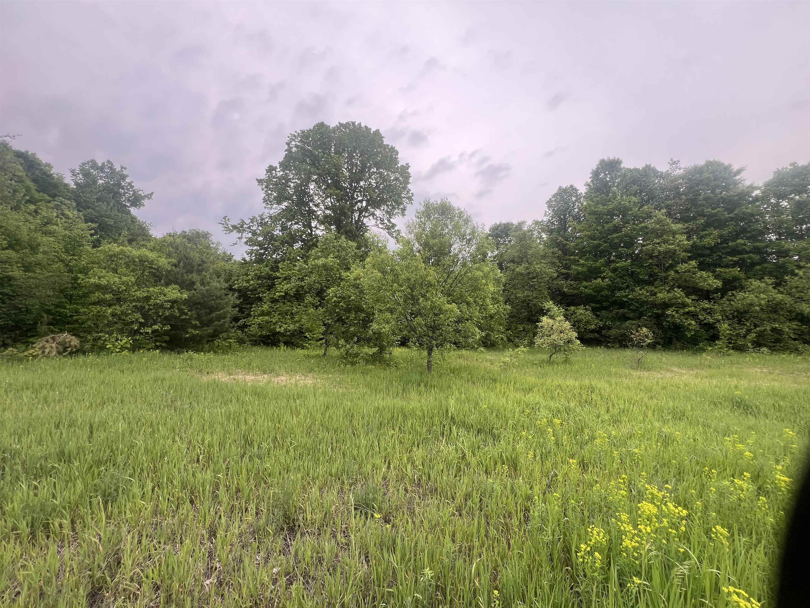 0 Wood Road Northeast Mancelona, MI 49659 - Photo 6 of 7