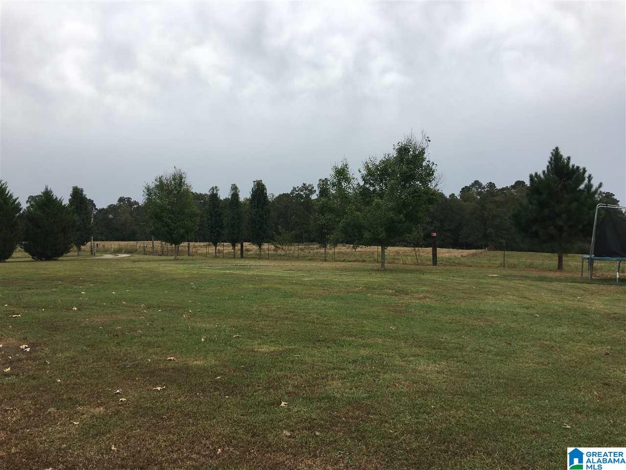 424 County Road 764 Cullman, AL 35055 - Photo 7 of 26