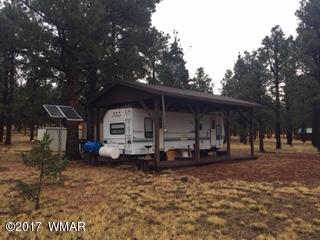 Lot 26 Lookout Road Greer, AZ 85927 - Photo 2 of 10