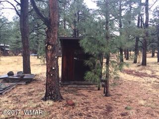 Lot 26 Lookout Road Greer, AZ 85927 - Photo 3 of 10