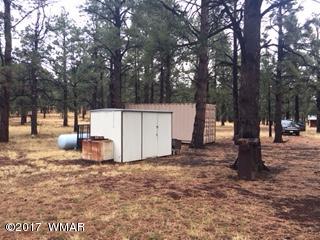 Lot 26 Lookout Road Greer, AZ 85927 - Photo 4 of 10