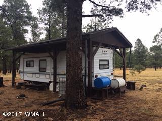 Lot 26 Lookout Road Greer, AZ 85927 - Photo 5 of 10