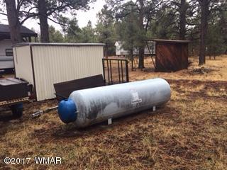 Lot 26 Lookout Road Greer, AZ 85927 - Photo 6 of 10