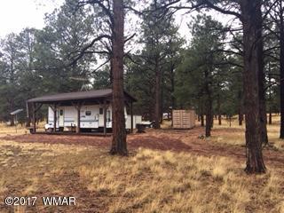 Lot 26 Lookout Road Greer, AZ 85927 - Photo 7 of 10