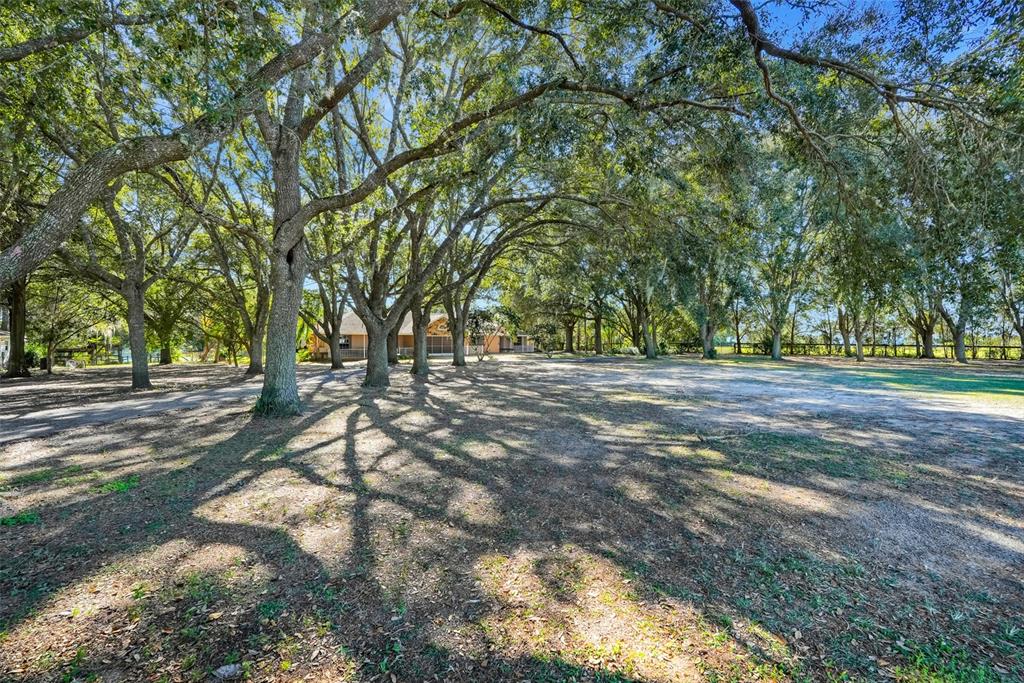 17200 Peru Road Umatilla, FL 32784 - Photo 43 of 51