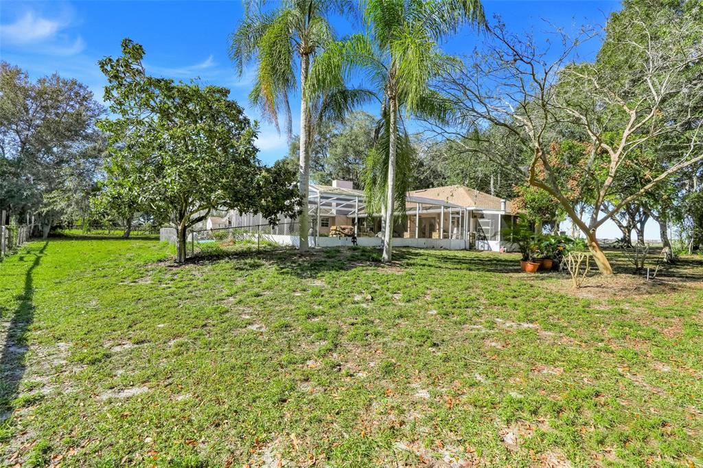 17200 Peru Road Umatilla, FL 32784 - Photo 44 of 51