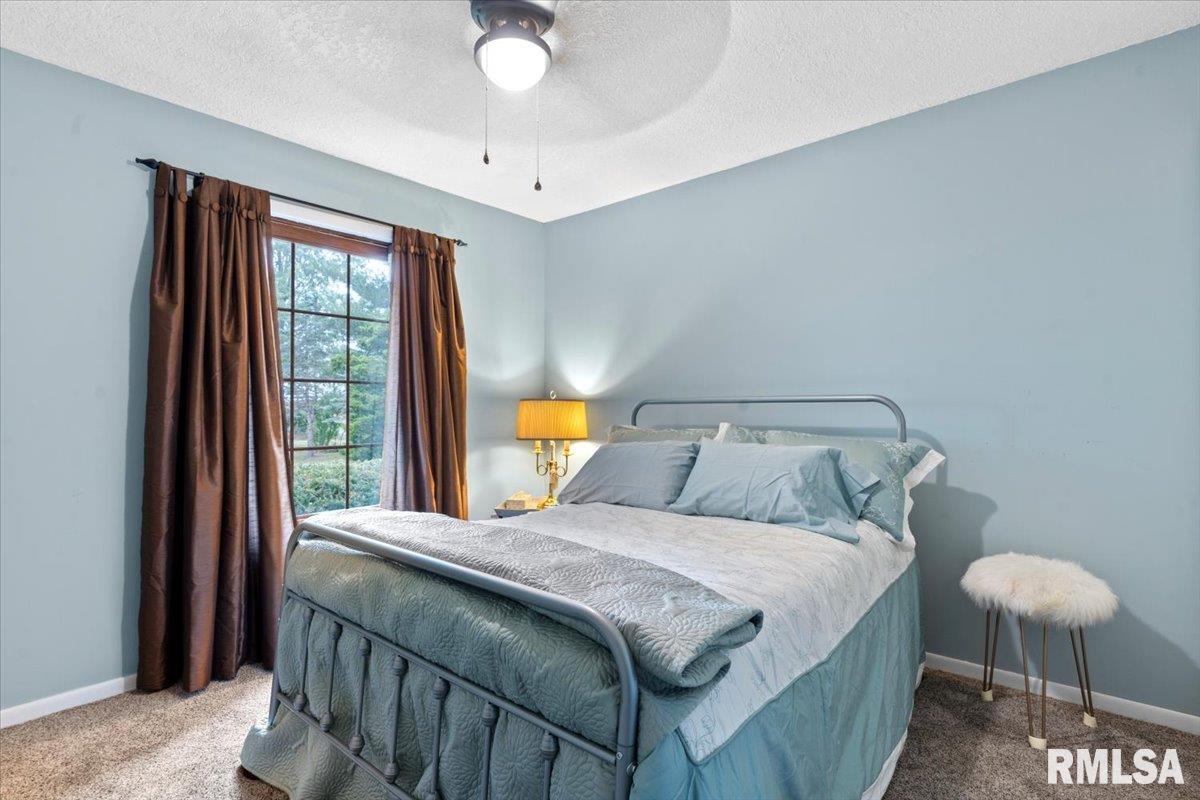 5810 Maxheimer Road Rochester, IL 62563 - Photo 23 of 42 Gallery Image 23