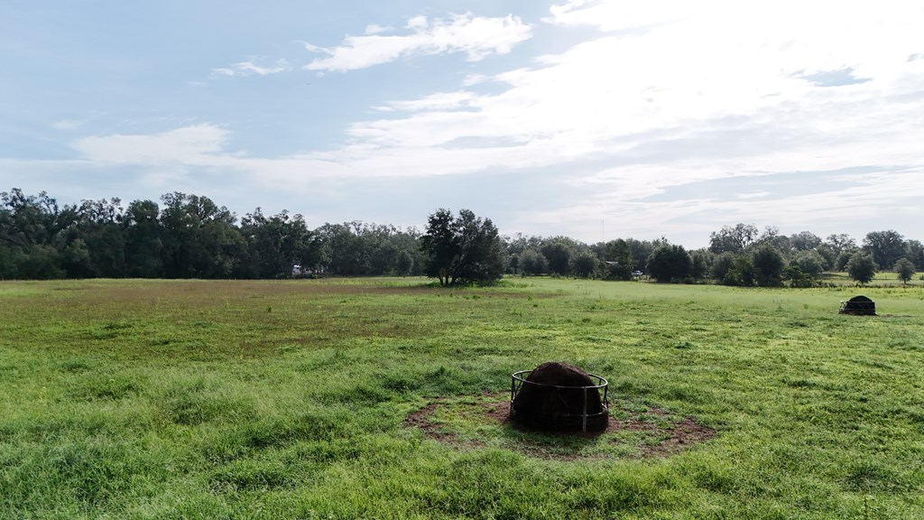 Vacant 145th Road Live Oak, FL 32060 - Photo 19 of 42