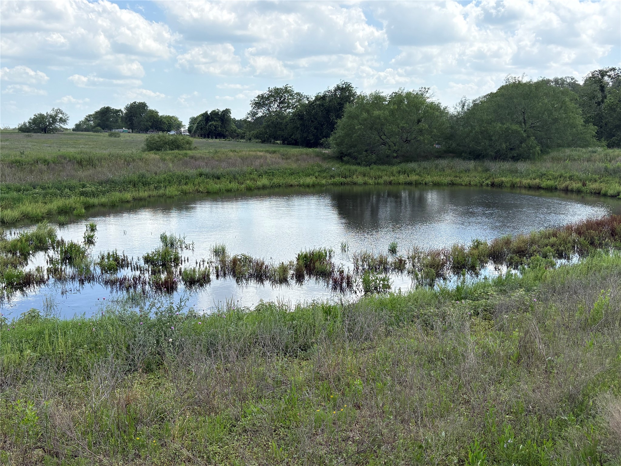 2214 Cr 253 Road Weimar, TX 78962 - Photo 28 of 28 pond