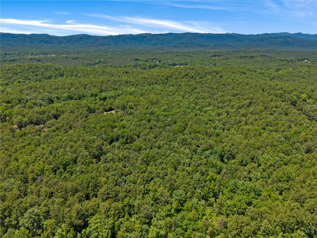 0 Pine Mountain Road Tamassee, SC 29686 - Photo 15 of 15