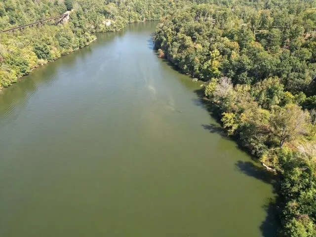 a view of a water pond with green space