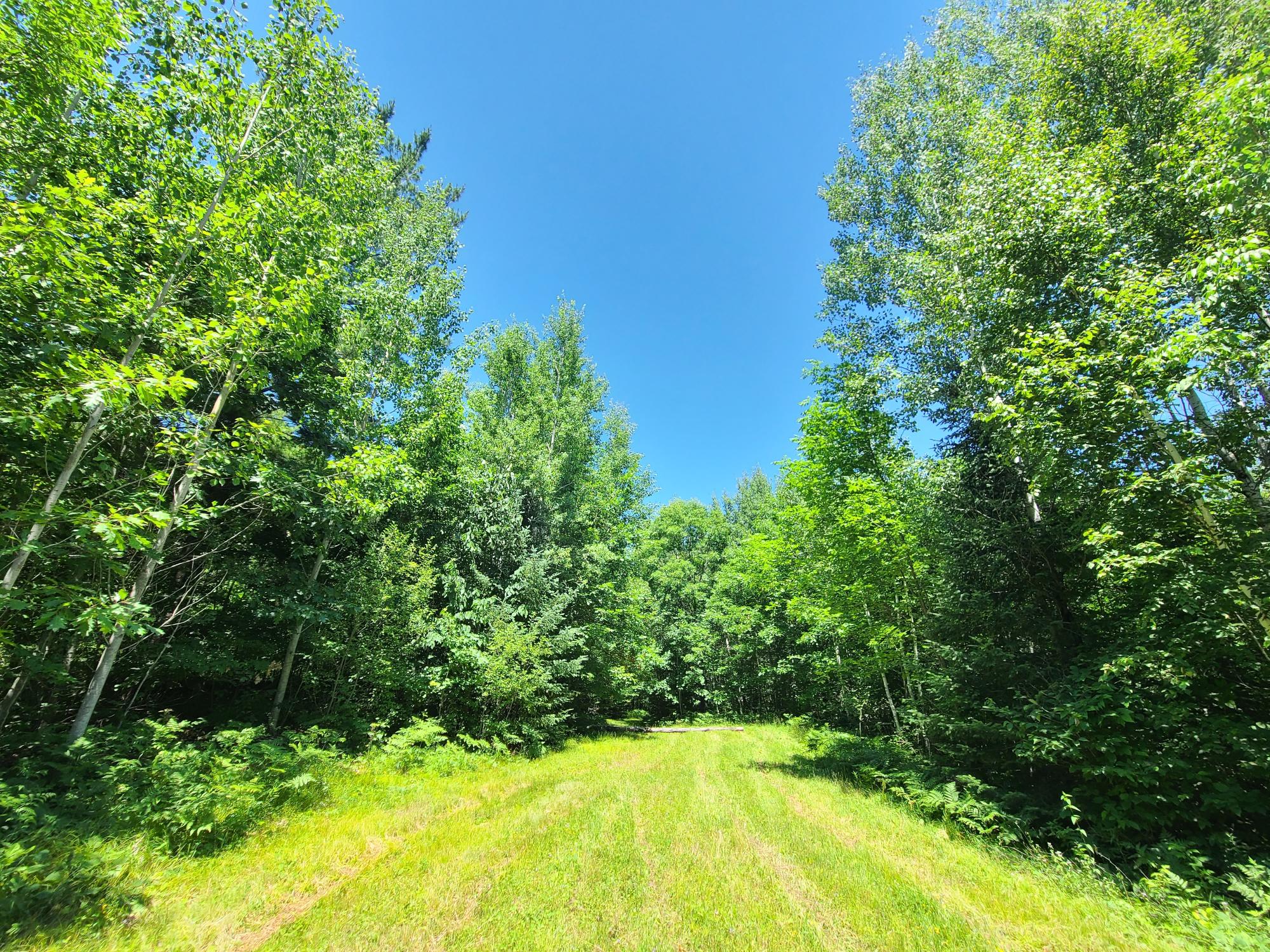 On Simon Road, Unit 78ACRES Fifield, WI 54524 - Photo 1 of 12 Gallery Image 1