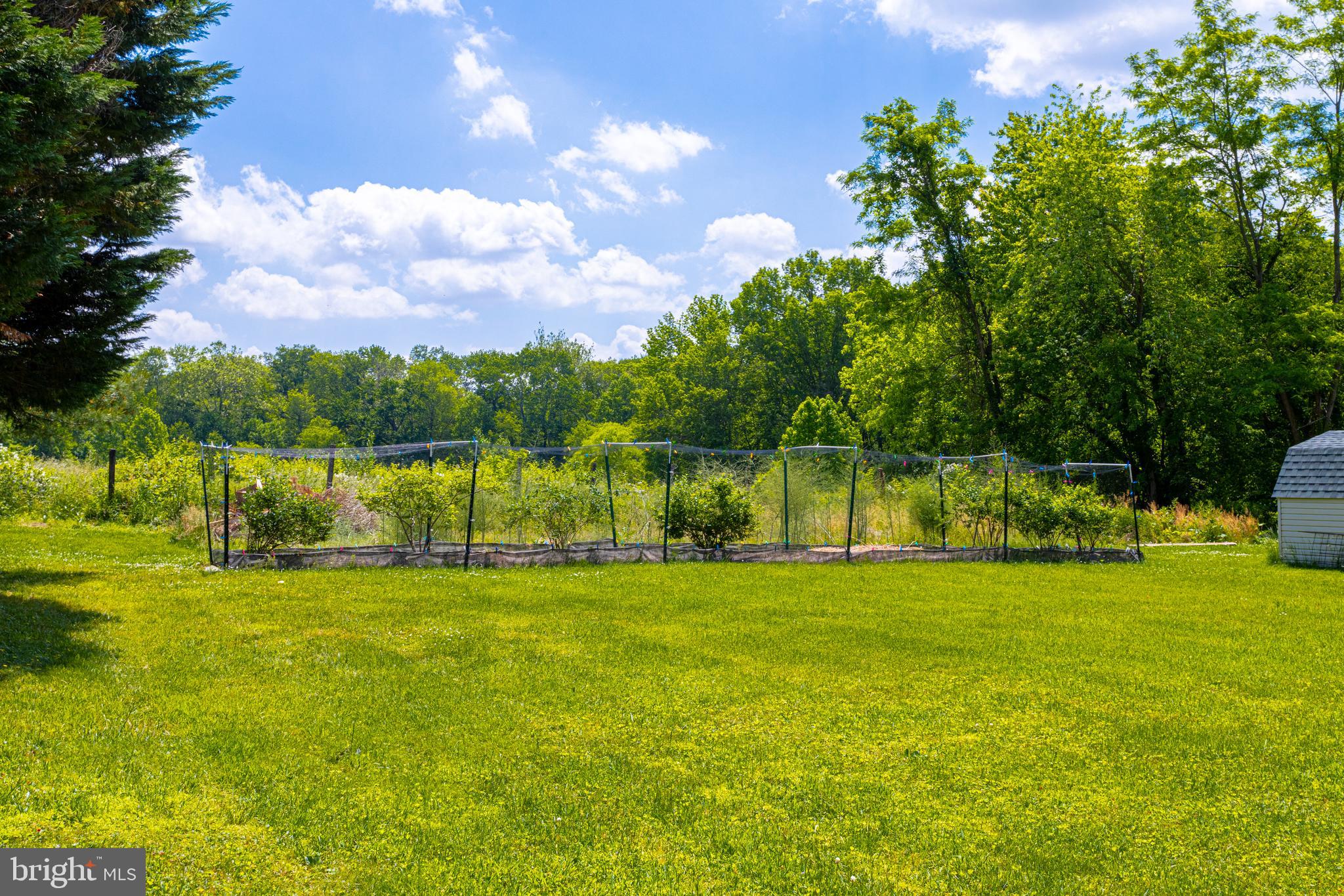 504 Hances Point Road North East, MD 21901 - Photo 24 of 24 Garden area