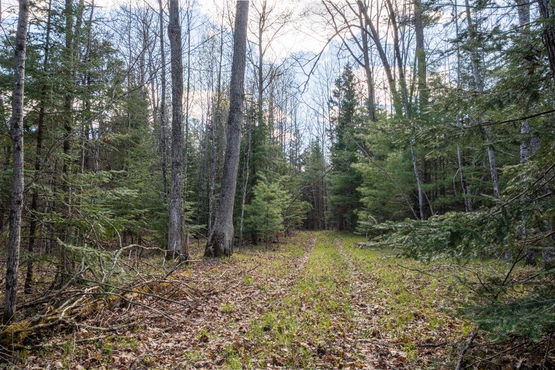 County Road Crivitz, WI 54114 - Photo 1 of 12