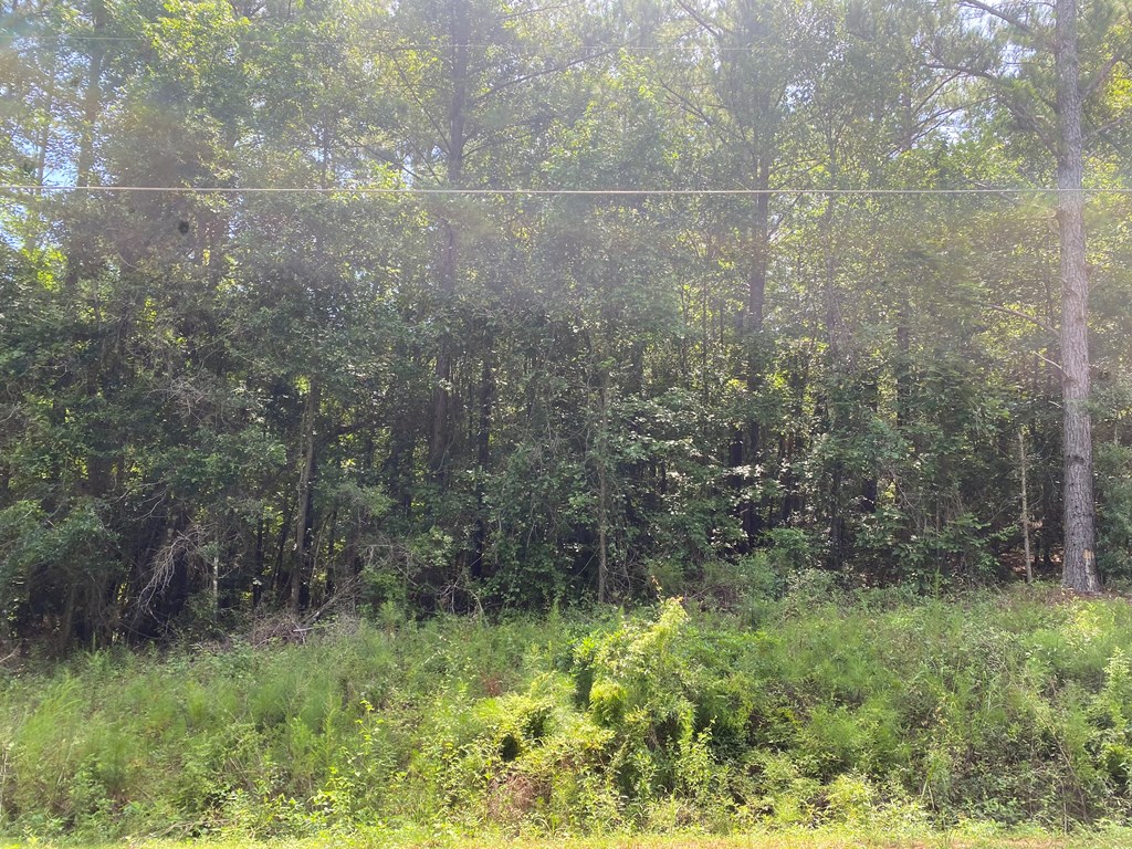 0 Drew Road Dothan, AL 36303 - Photo 4 of 8