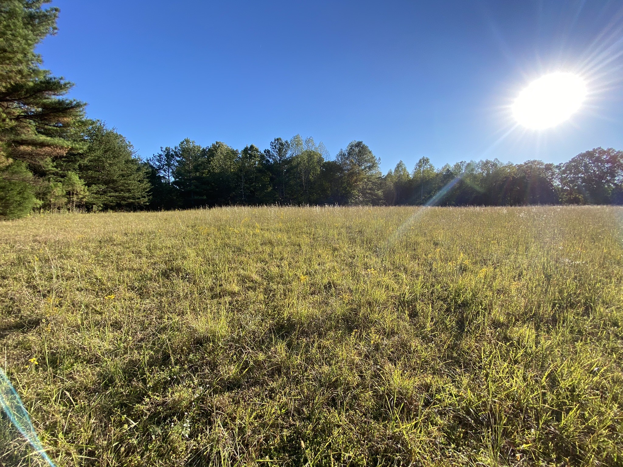 0 Spring Creek Road Lawrenceburg, TN 38464 - Photo 13 of 35 a view of an ocean and beach