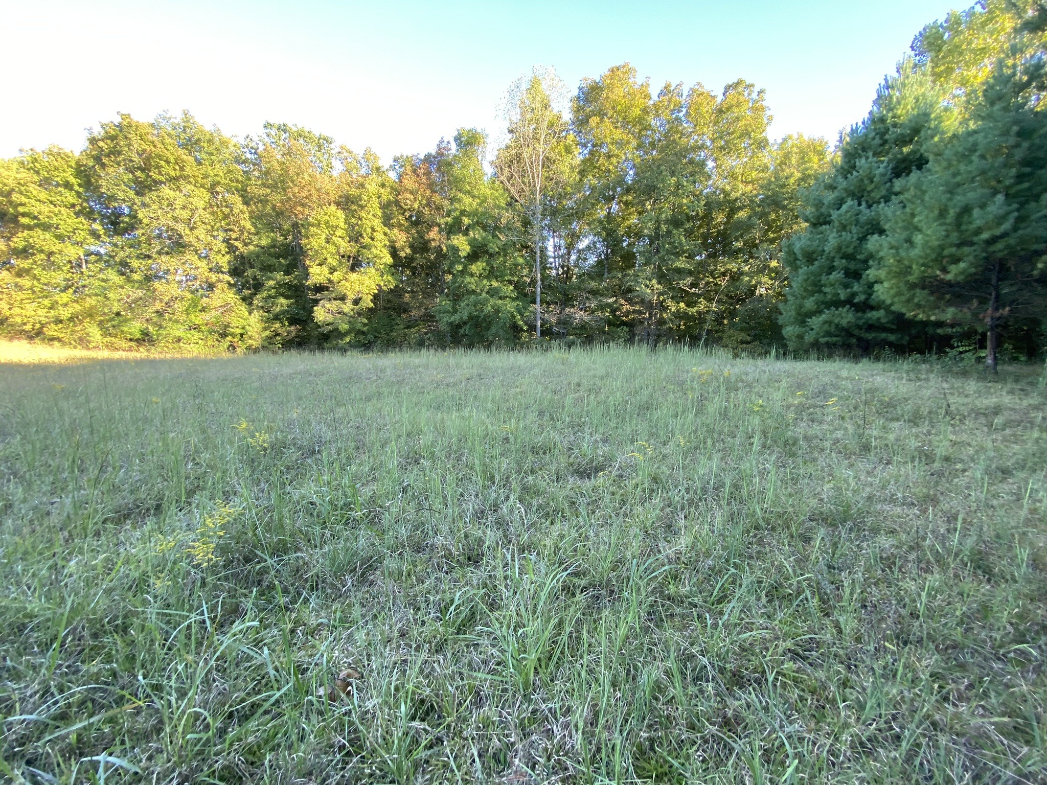 0 Spring Creek Road Lawrenceburg, TN 38464 - Photo 17 of 35 a view of yard with green space