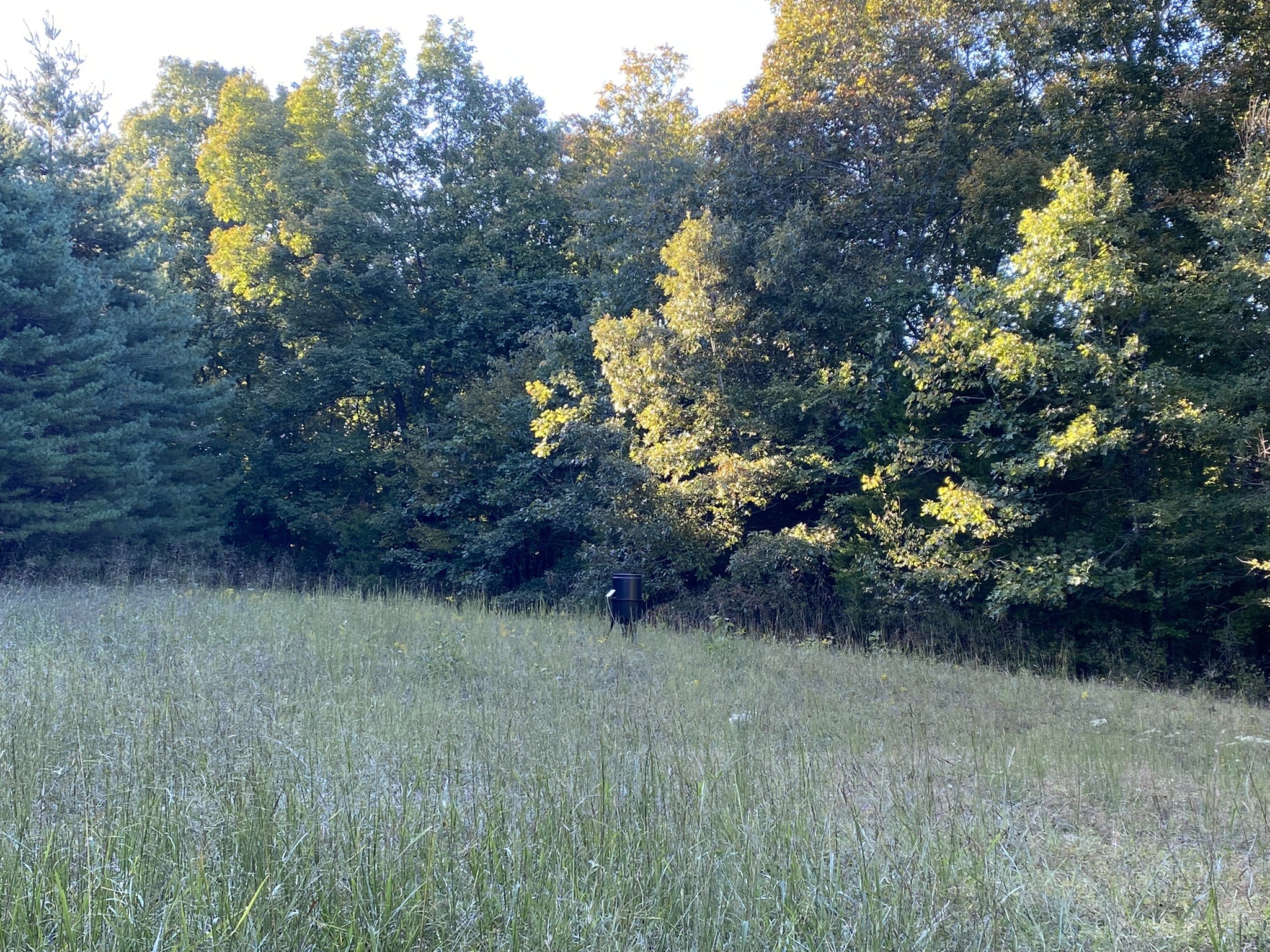 0 Spring Creek Road Lawrenceburg, TN 38464 - Photo 20 of 35 a view of a yard