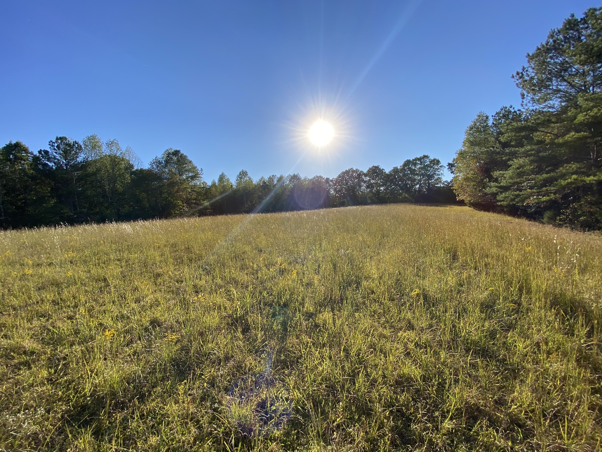 0 Spring Creek Road Lawrenceburg, TN 38464 - Photo 2 of 35 a view of ocean
