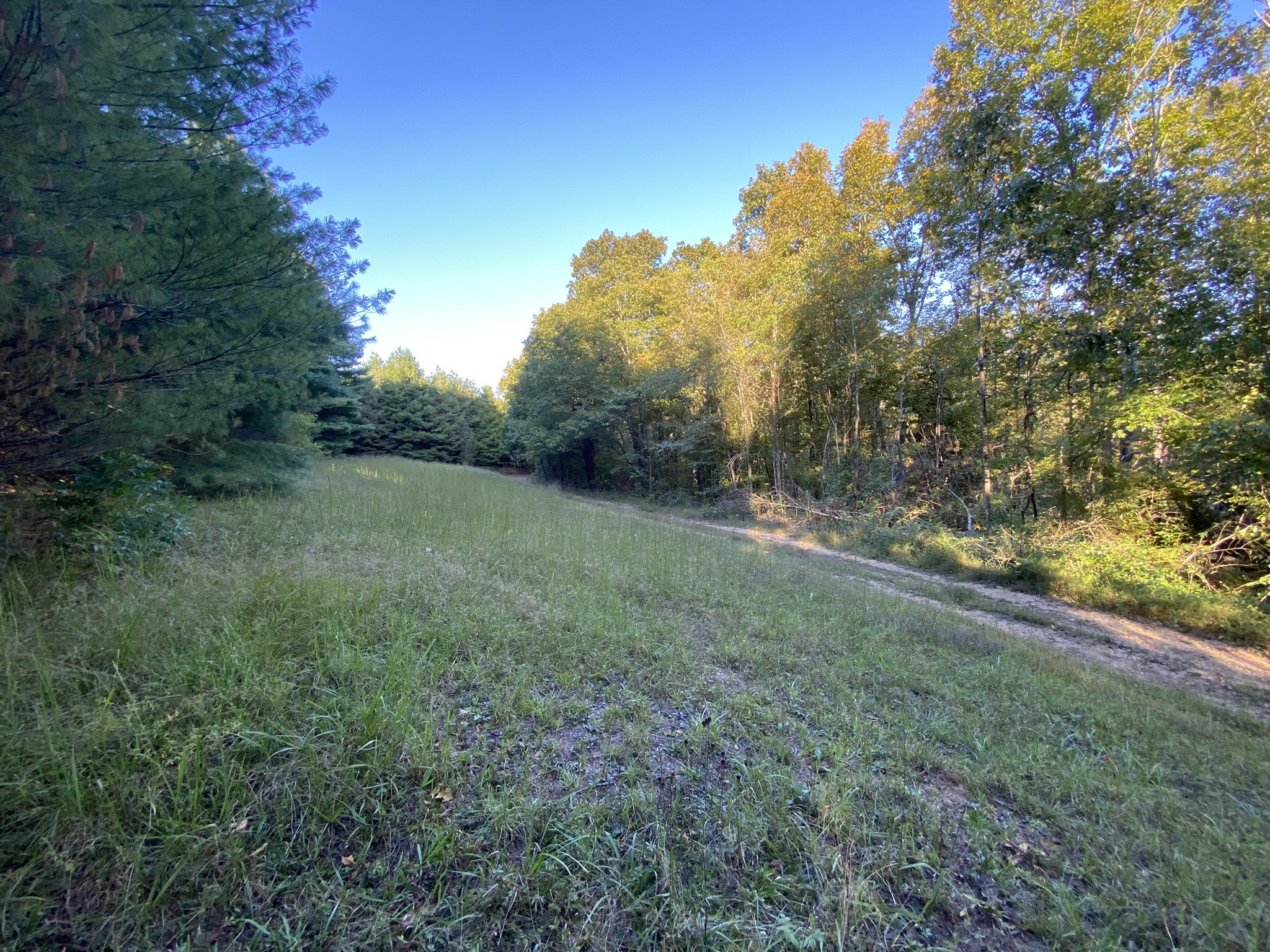 0 Spring Creek Road Lawrenceburg, TN 38464 - Photo 21 of 35 a view of a large yard with lots of green space