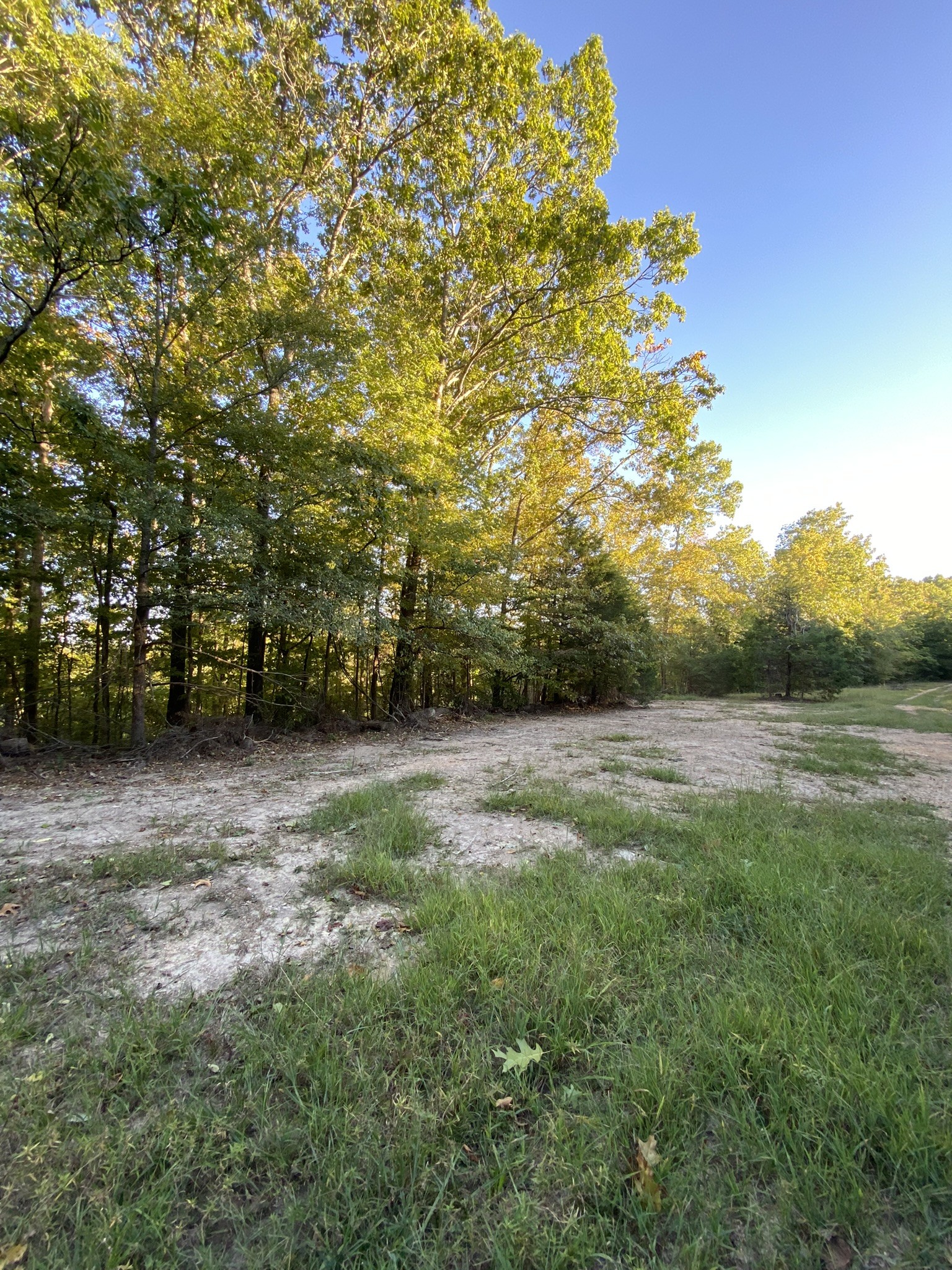 0 Spring Creek Road Lawrenceburg, TN 38464 - Photo 24 of 35 a view of a field with trees