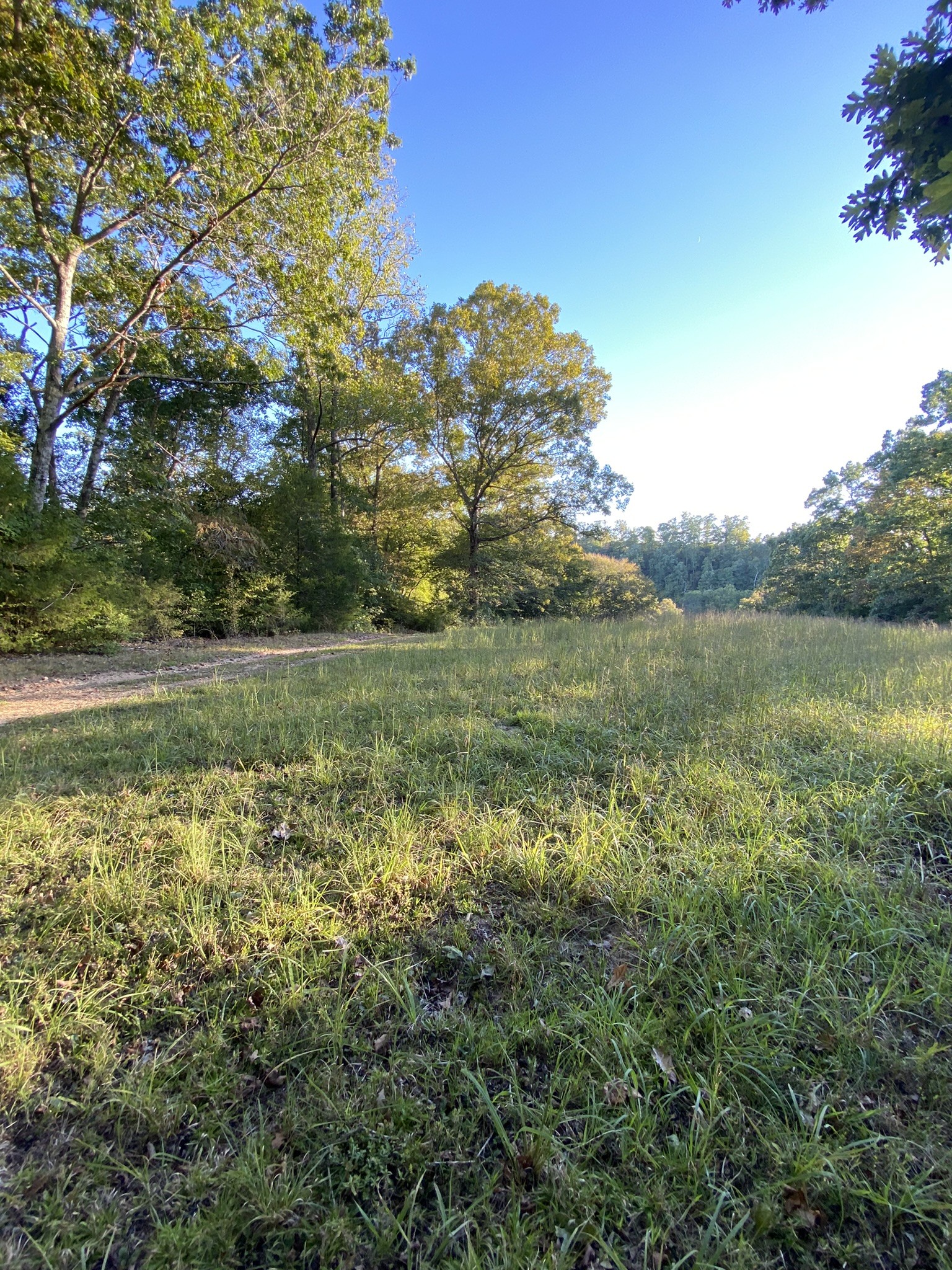 0 Spring Creek Road Lawrenceburg, TN 38464 - Photo 25 of 35 a view of a field with an ocean view