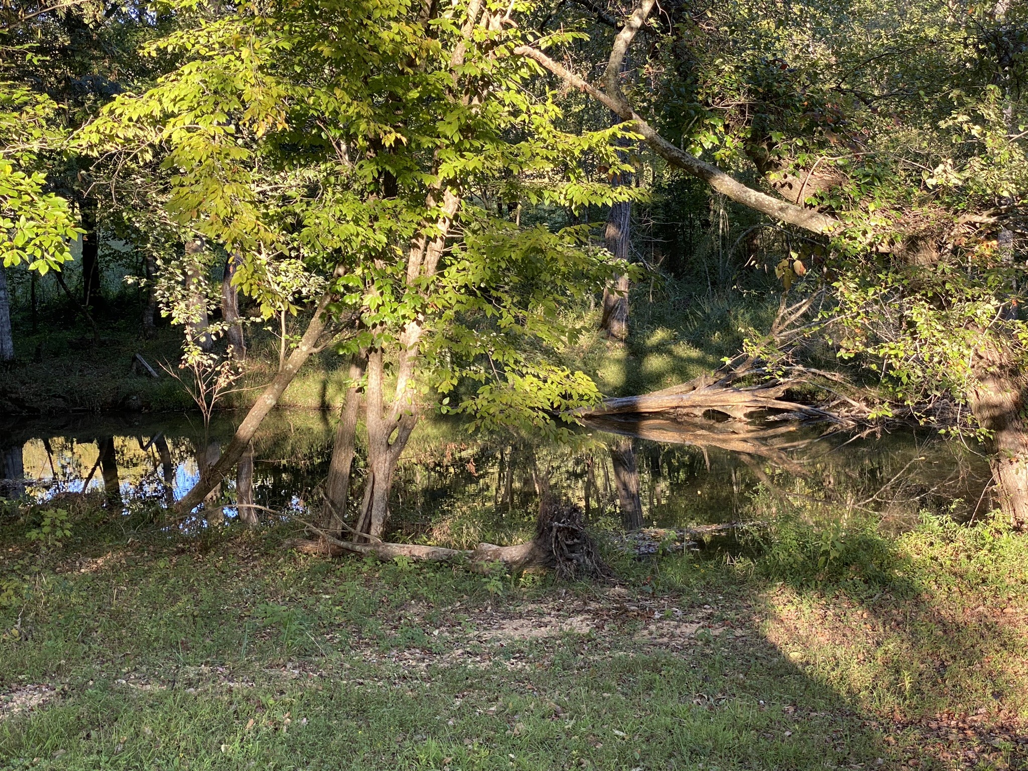 0 Spring Creek Road Lawrenceburg, TN 38464 - Photo 29 of 35 a view of a yard