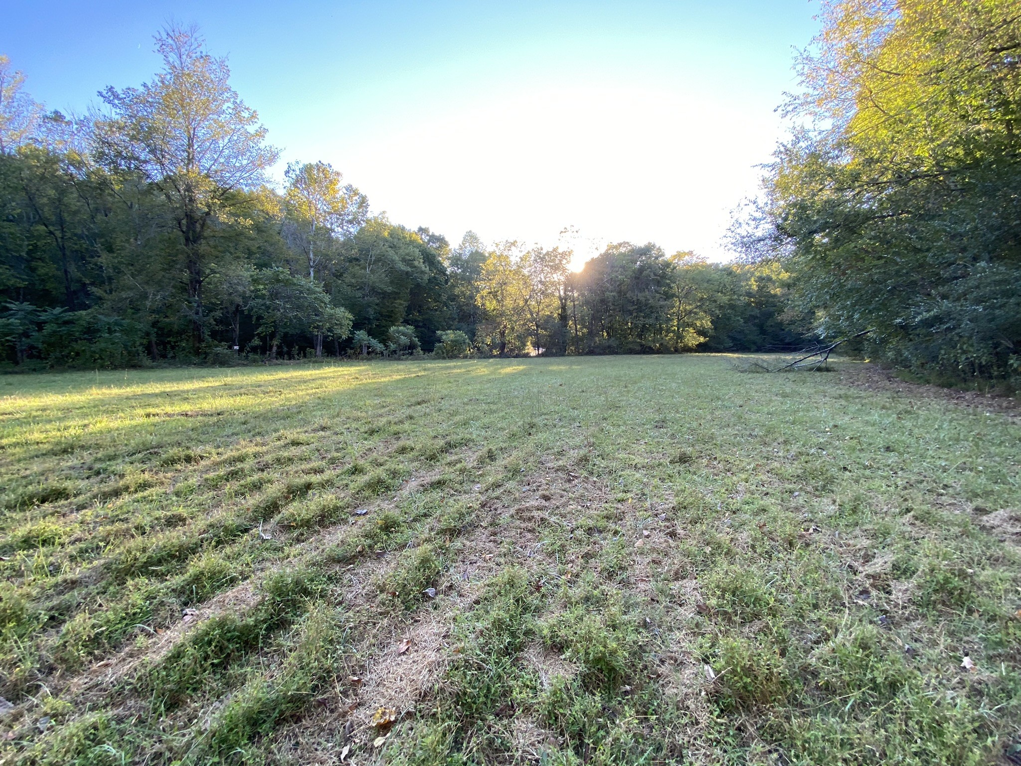 0 Spring Creek Road Lawrenceburg, TN 38464 - Photo 30 of 35 a view of a field with an trees