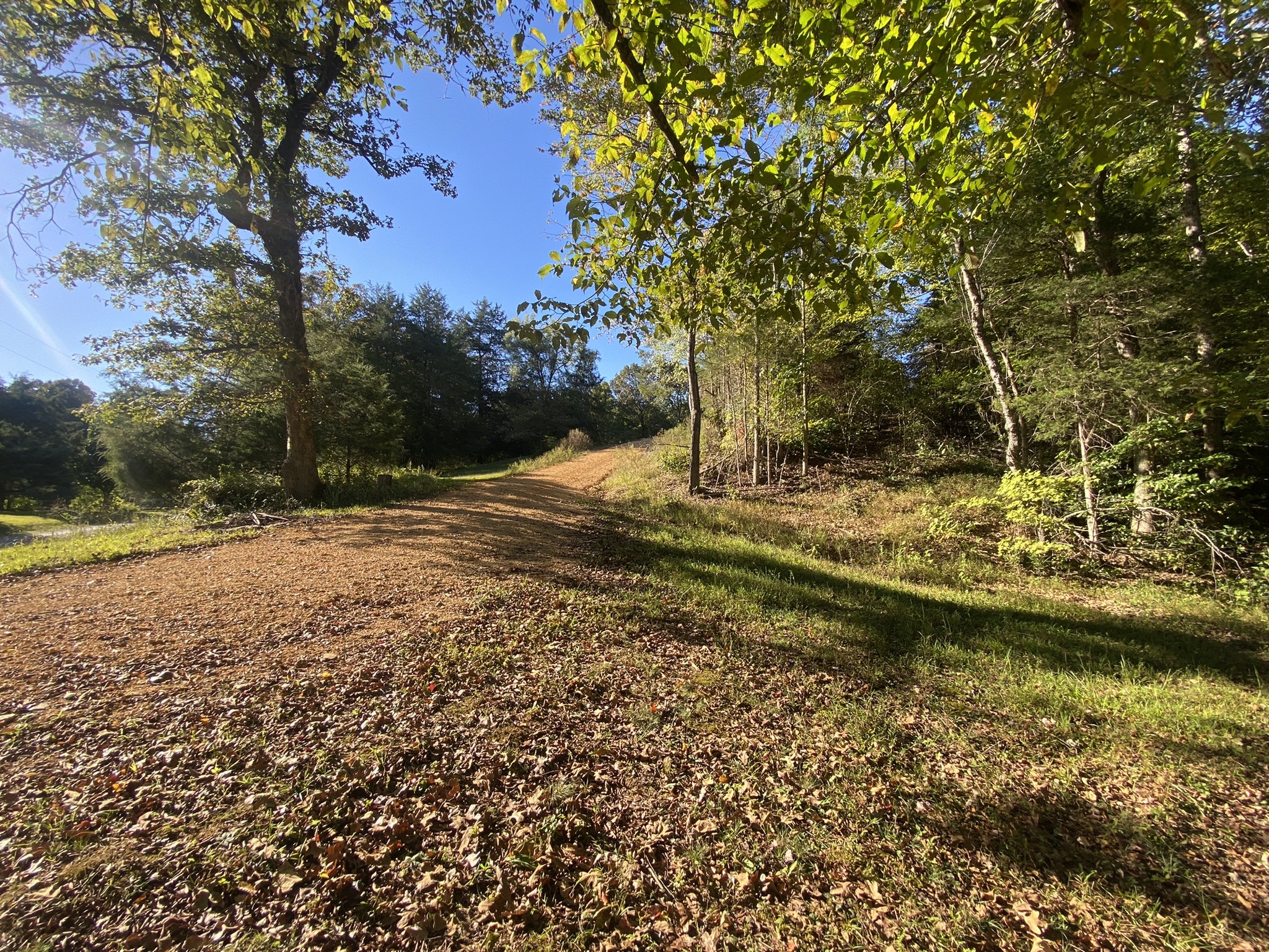 0 Spring Creek Road Lawrenceburg, TN 38464 - Photo 6 of 35 a view of a yard with wooden fence