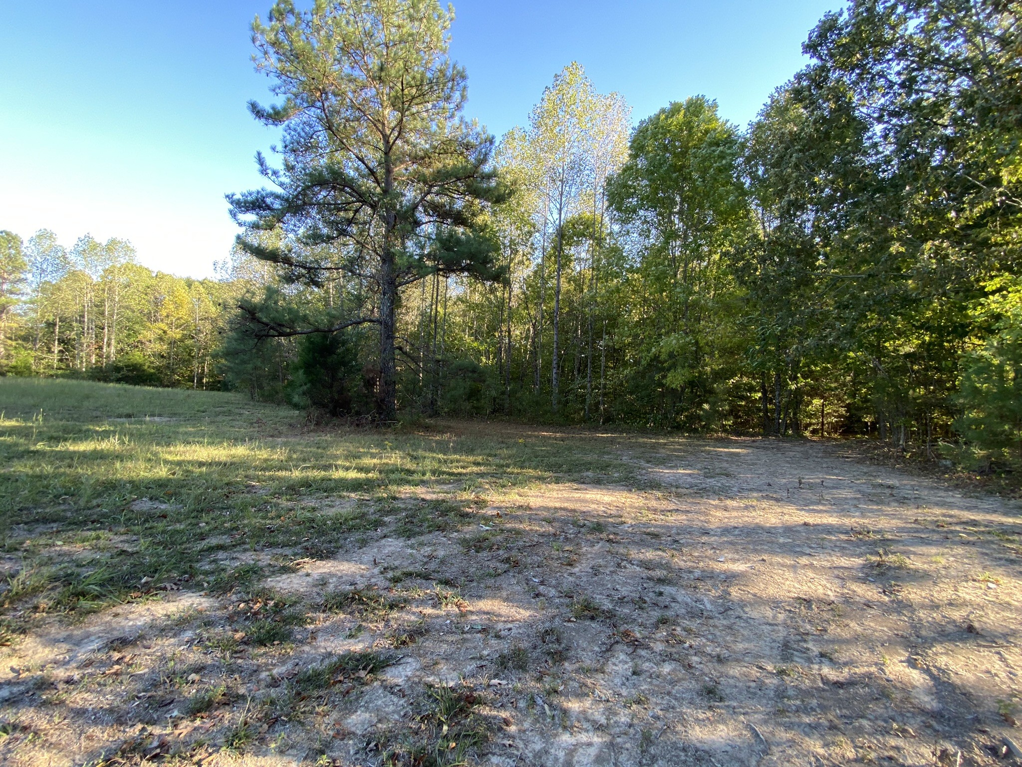 0 Spring Creek Road Lawrenceburg, TN 38464 - Photo 10 of 35 a view of outdoor space with trees all around