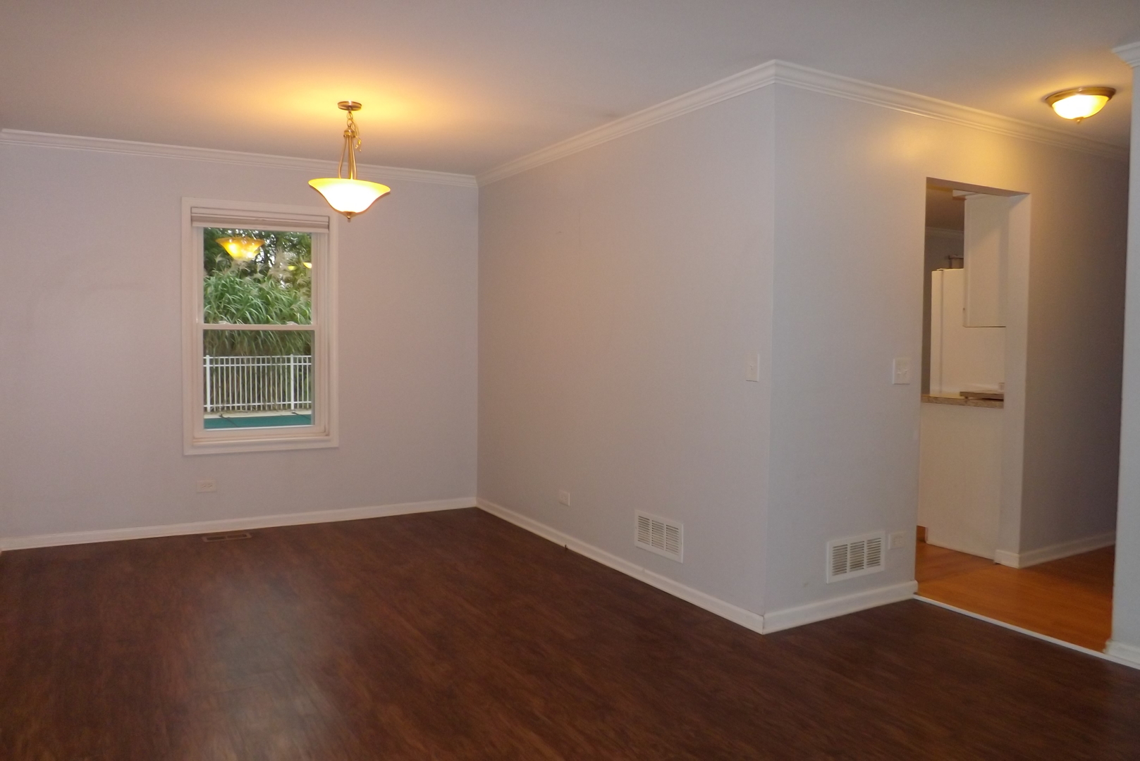 433 Prairie Valley Street Elburn, IL 60119 - Photo 6 of 21 wooden floor in an empty room with a window