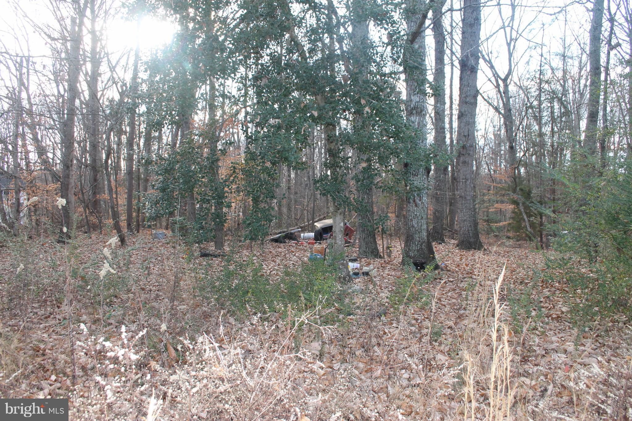 5221 Sumerduck Road Sumerduck, VA 22742 - Photo 21 of 21 Land