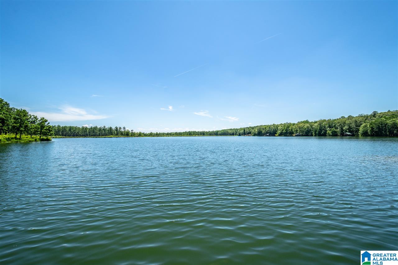 827 Colleton Forest Way, Unit 20 ACRES Vincent, AL 35178 - Photo 15 of 31