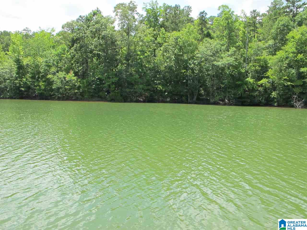 354 South Forty Road Lineville, AL 36266 - Photo 24 of 30