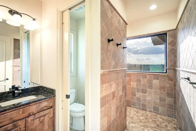 a bathroom with a granite countertop sink toilet and shower