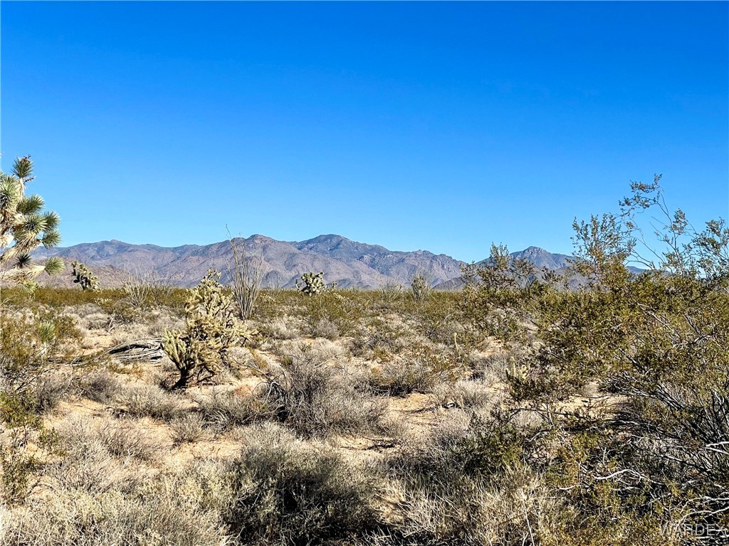 540 South Wild Bill Road Yucca, AZ 86438 - Photo 1 of 17 View
