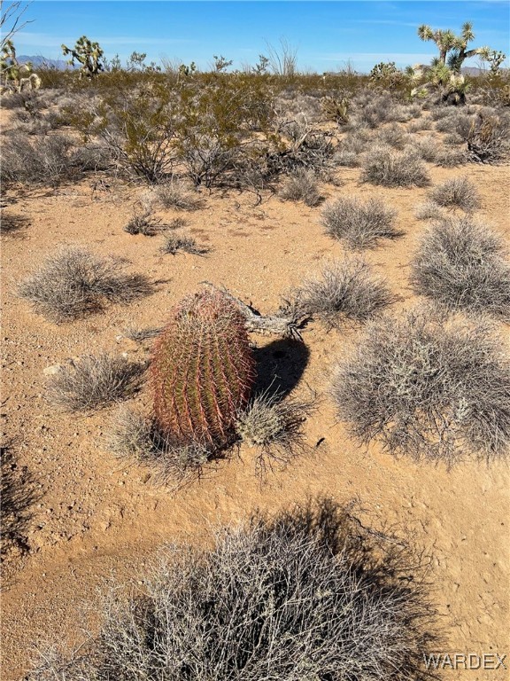 540 South Wild Bill Road Yucca, AZ 86438 - Photo 11 of 17 Other