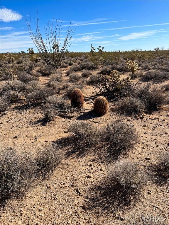 540 South Wild Bill Road Yucca, AZ 86438 - Photo 12 of 17 Other