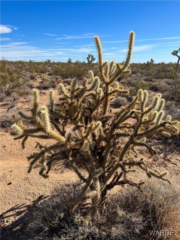 540 South Wild Bill Road Yucca, AZ 86438 - Photo 13 of 17 Other