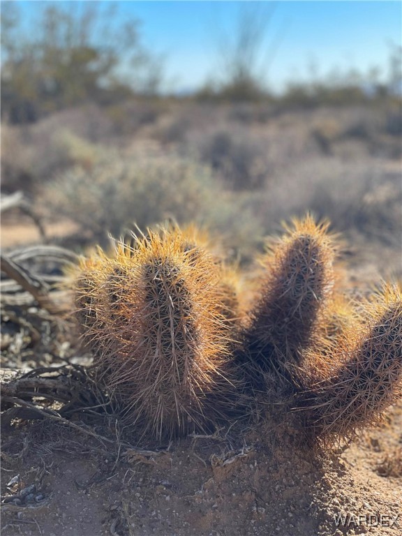 540 South Wild Bill Road Yucca, AZ 86438 - Photo 15 of 17 Other