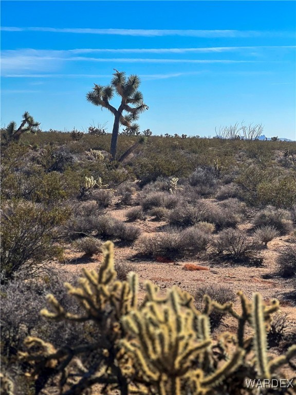 540 South Wild Bill Road Yucca, AZ 86438 - Photo 2 of 17 Other