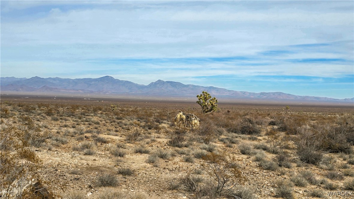540 South Wild Bill Road Yucca, AZ 86438 - Photo 3 of 17 View