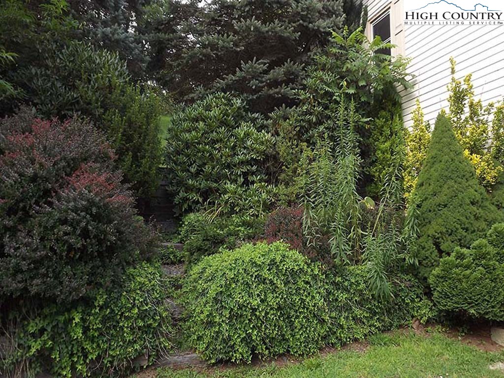 5472 Bamboo Road Boone, NC 28607 - Photo 2 of 42 Gallery Image 2
