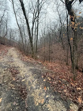 $8,000 | 0 Peninsula Trail, New Florence, MO 63363