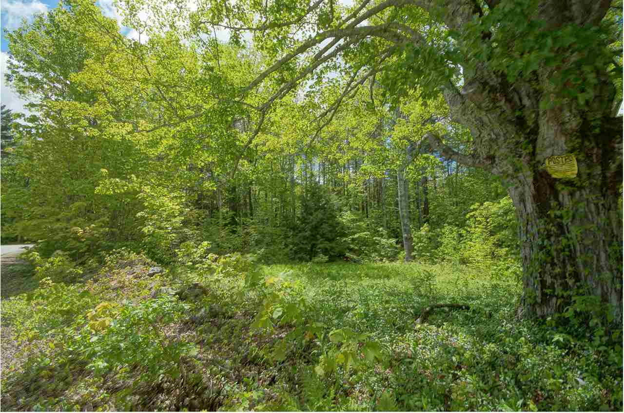 669 Candia Road Chester, NH 03036 - Photo 1 of 26