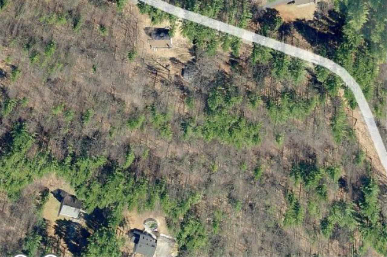 669 Candia Road Chester, NH 03036 - Photo 11 of 26