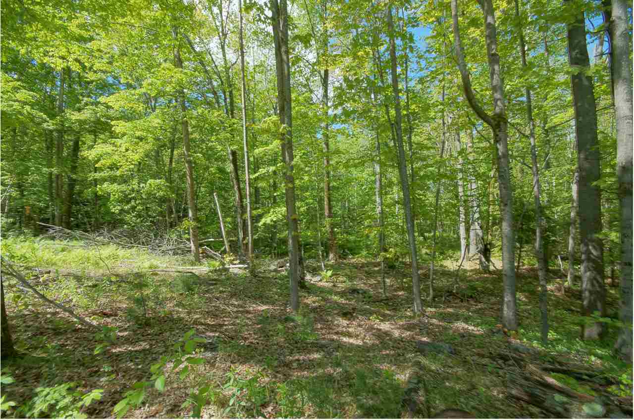 669 Candia Road Chester, NH 03036 - Photo 4 of 26